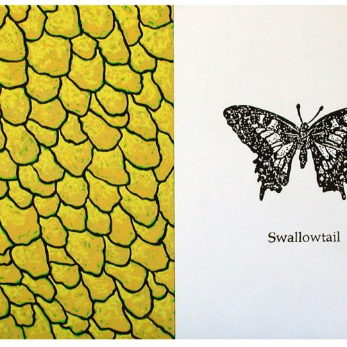 Swallowtail