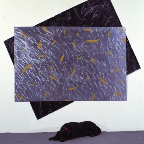 Untitled with Sheba 1985